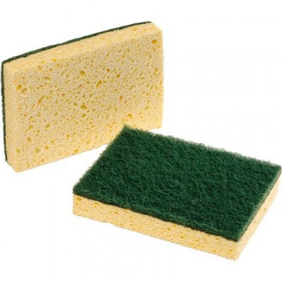Kitchen sponge